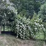 Tatil Evi Casa Meme Marco de Canavezes