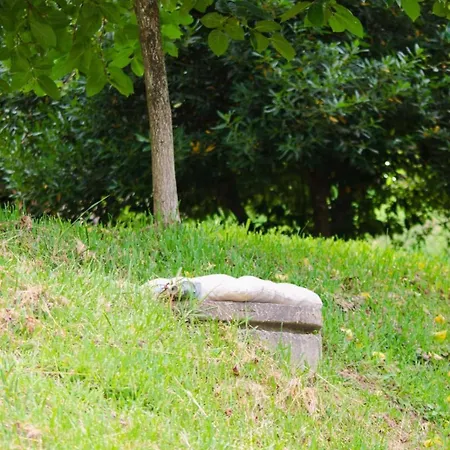 Casa Meme 別荘 Marco de Canavezes