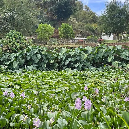 別荘 Casa Meme Marco de Canavezes