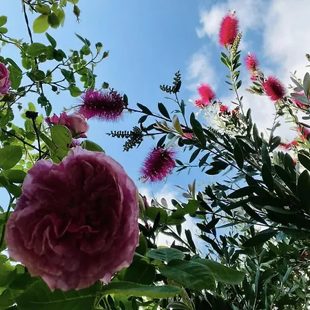 Casa Meme Marco de Canavezes