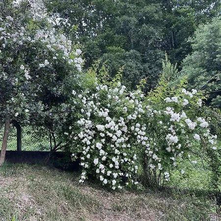 別荘 Casa Meme Marco de Canavezes