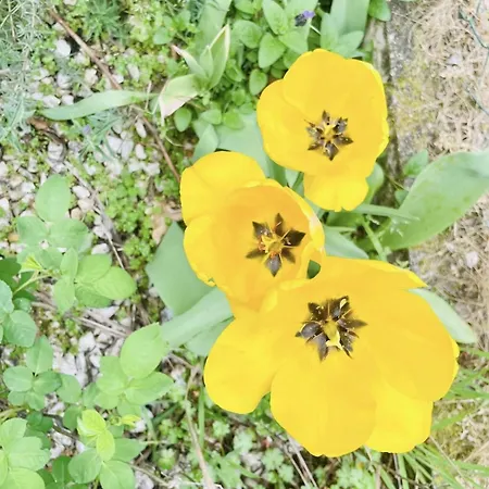 Casa Meme Marco de Canavezes