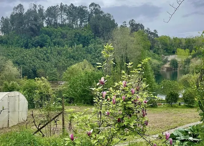 Casa Meme Semesterbostad Marco de Canavezes