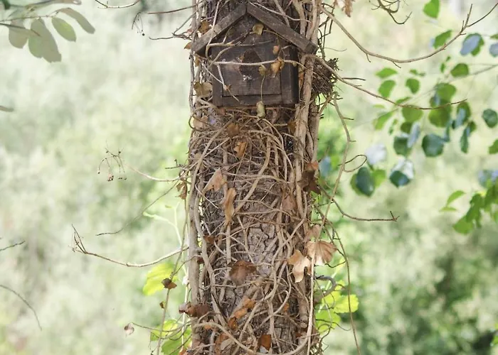 Casa Meme Semesterbostad *