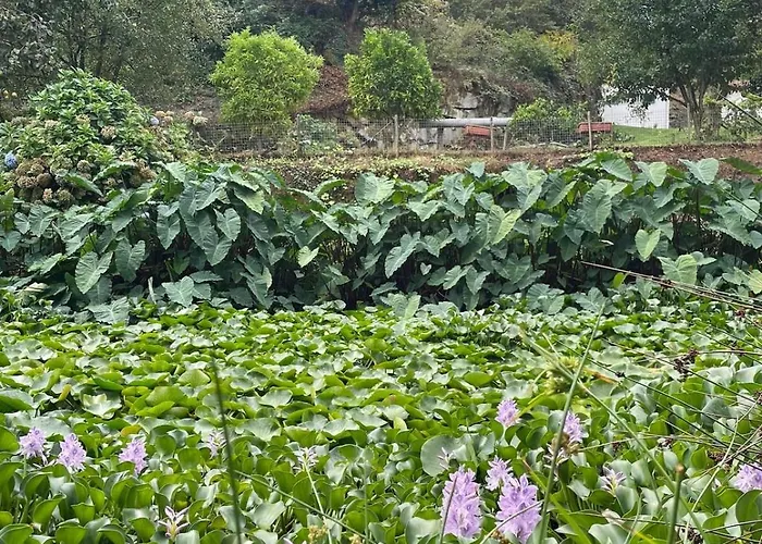 בית נופש Casa Meme Marco de Canavezes