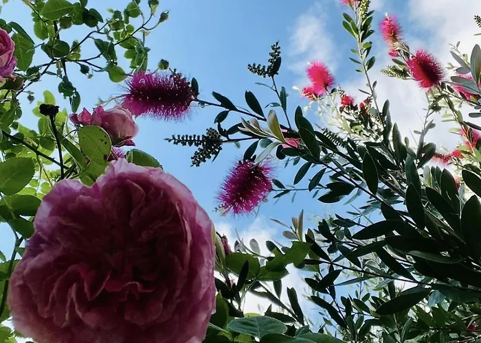 Casa Meme Marco de Canavezes