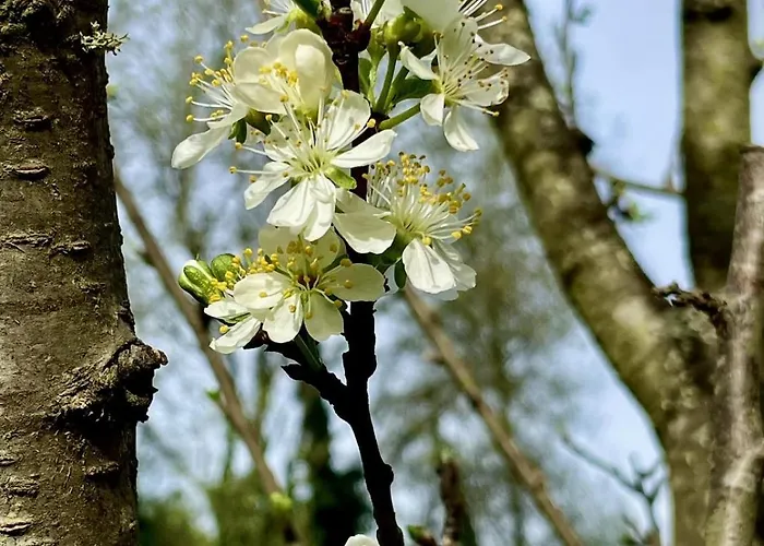 Casa Meme בית נופש