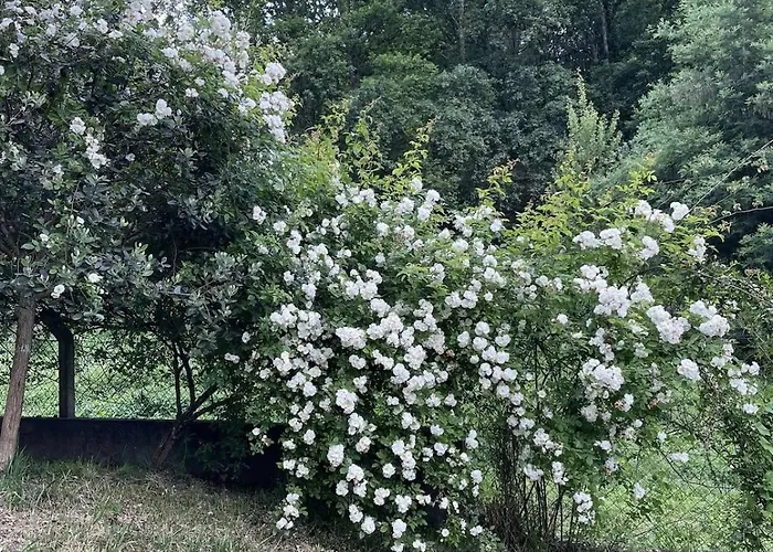 Semesterbostad Casa Meme Marco de Canavezes