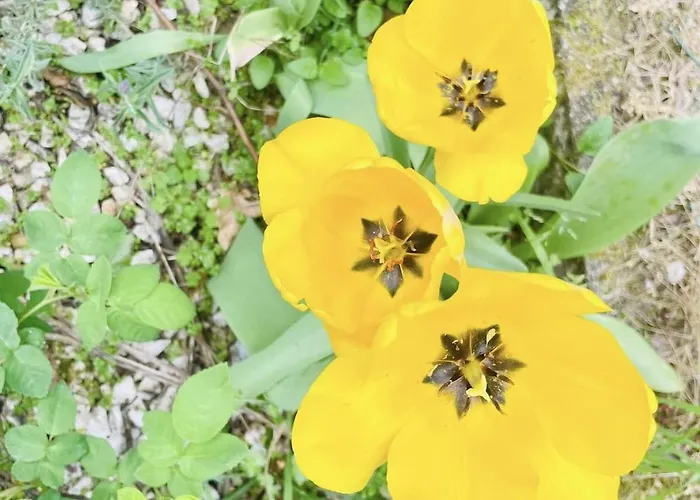 Casa Meme Marco de Canavezes